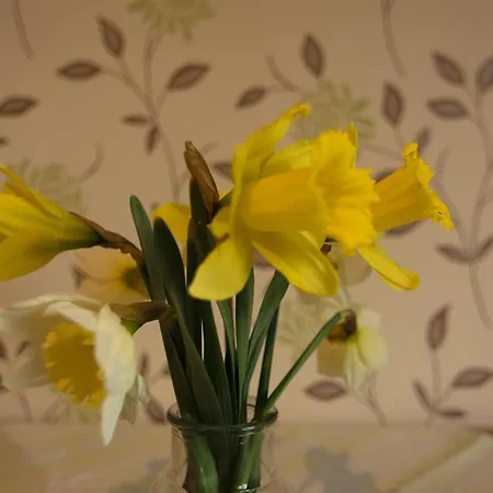 Friesenhof Joens ファームステイ ガルディング